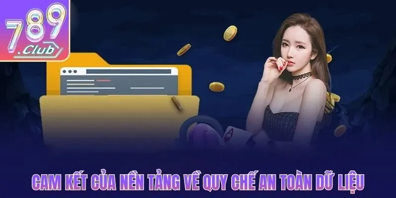 Cam kết của nền tảng về quy chế an toàn dữ liệu