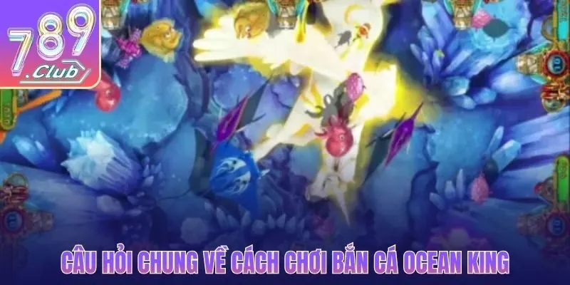Câu hỏi chung về cách chơi bắn cá Ocean King